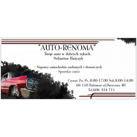 HAŃCZYK SEBASTIAN ZAKŁAD NAPRAWCZY"AUTO RENOMA"