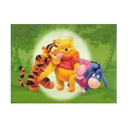 Niepubliczne Przedszkole Stumilowy Las Gumieńce