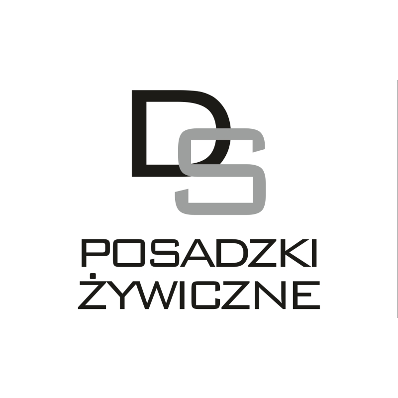 DS POSADZKI ŻYWICZNE PATRYCJA SZLAGA